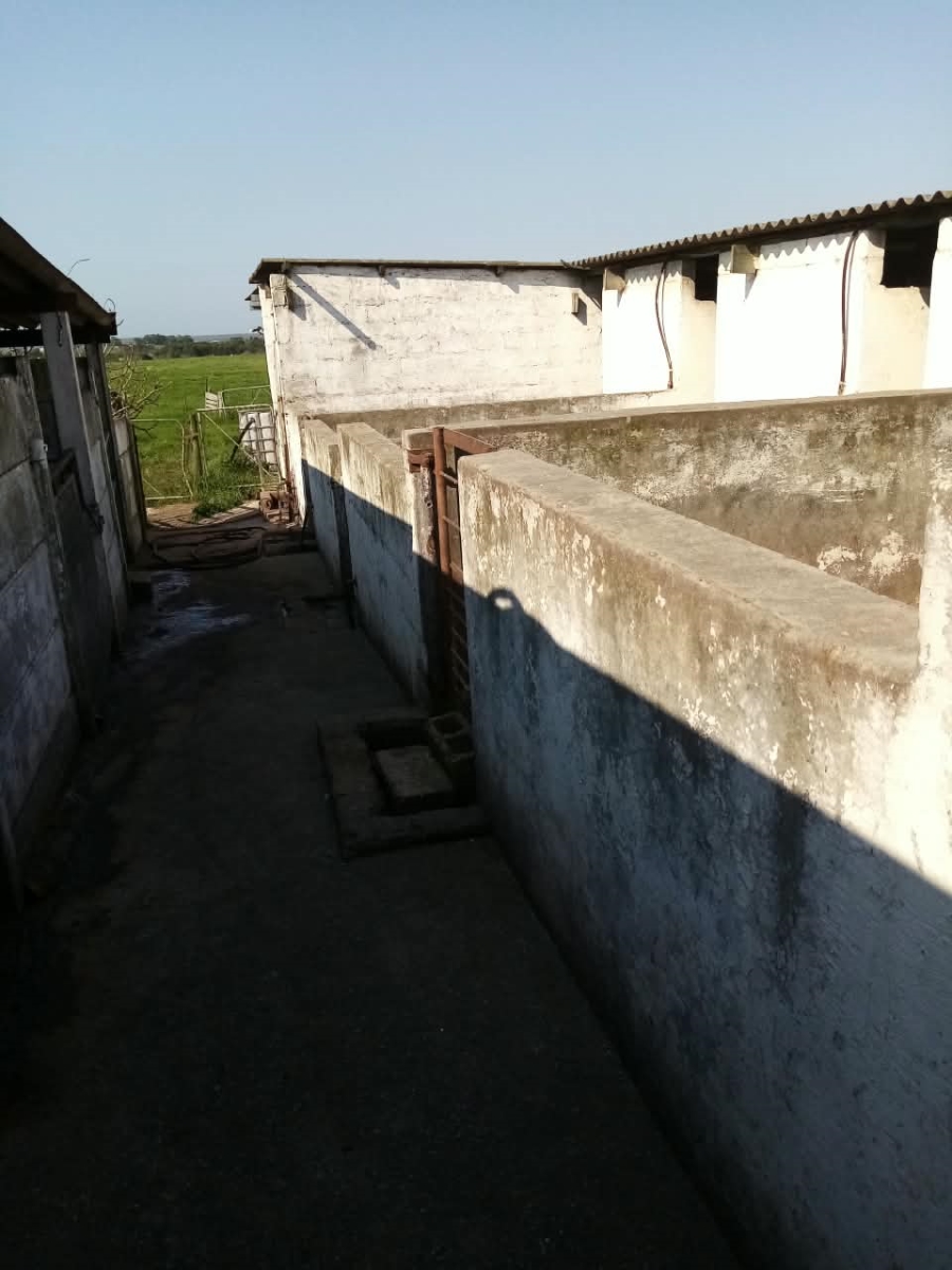 Commercial Property for Sale in Rocklands Eastern Cape